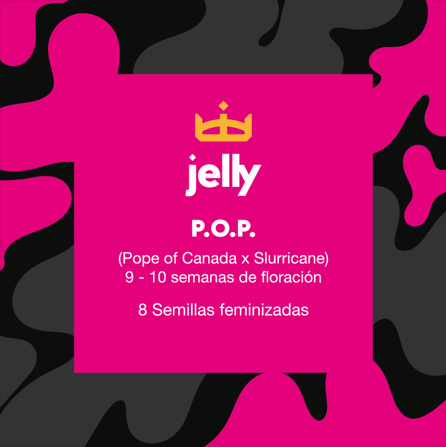 P.O.P (fem)
