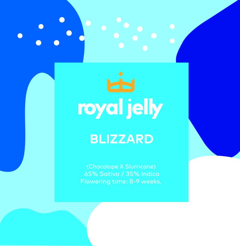 Empaque de semillas Blizzard de Royal Jelly