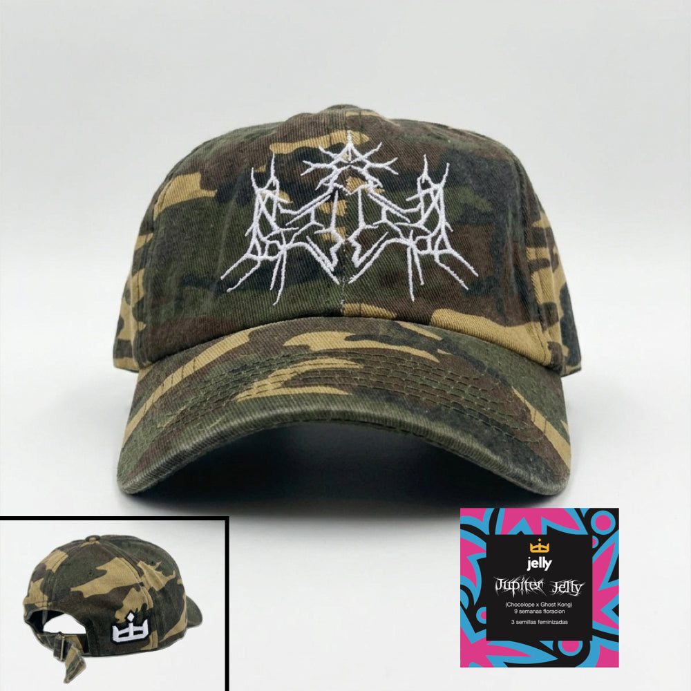 Gorra Primavera 2026