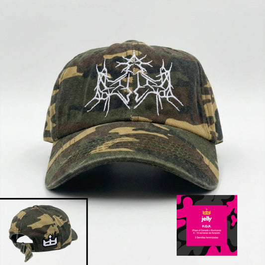 Gorra Primavera 2026