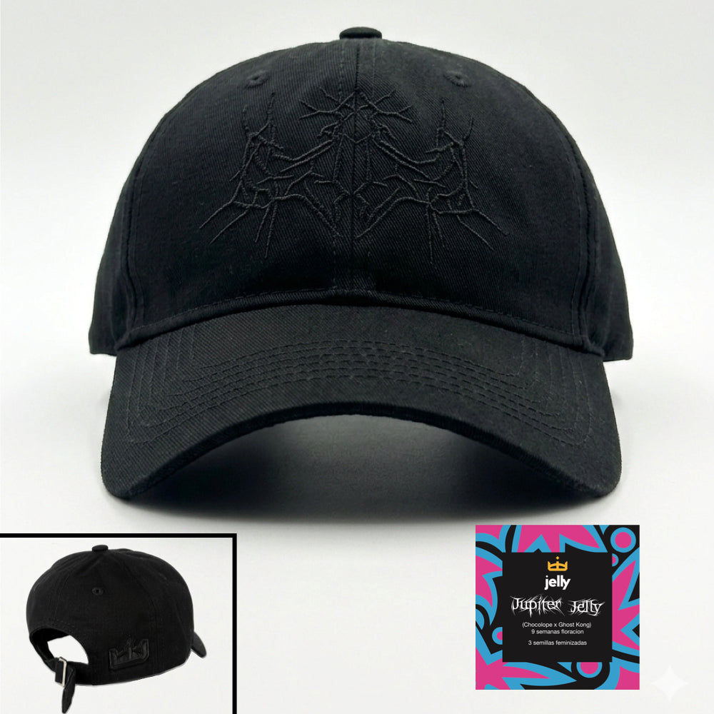 Gorra Primavera 2026
