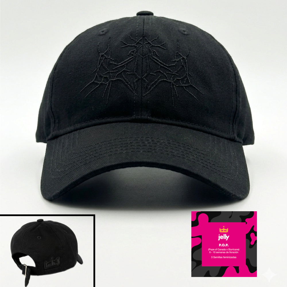 Gorra Primavera 2026