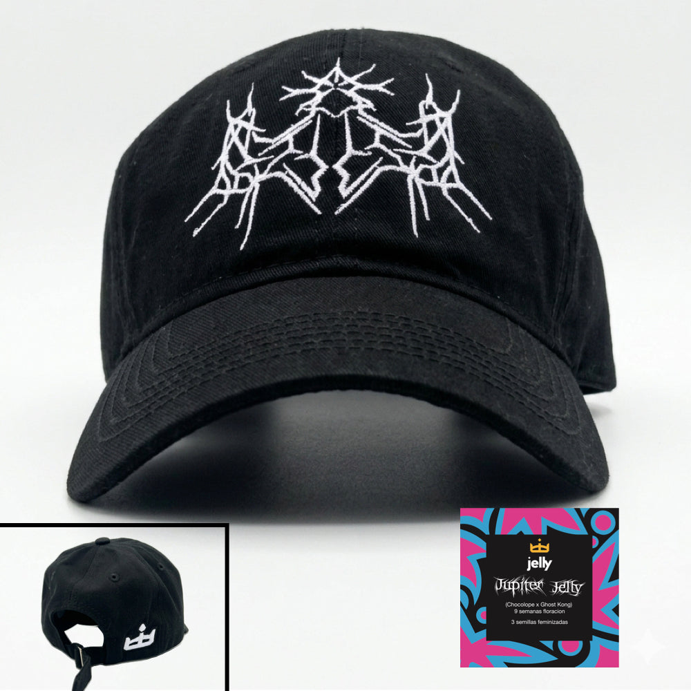 Gorra Primavera 2026