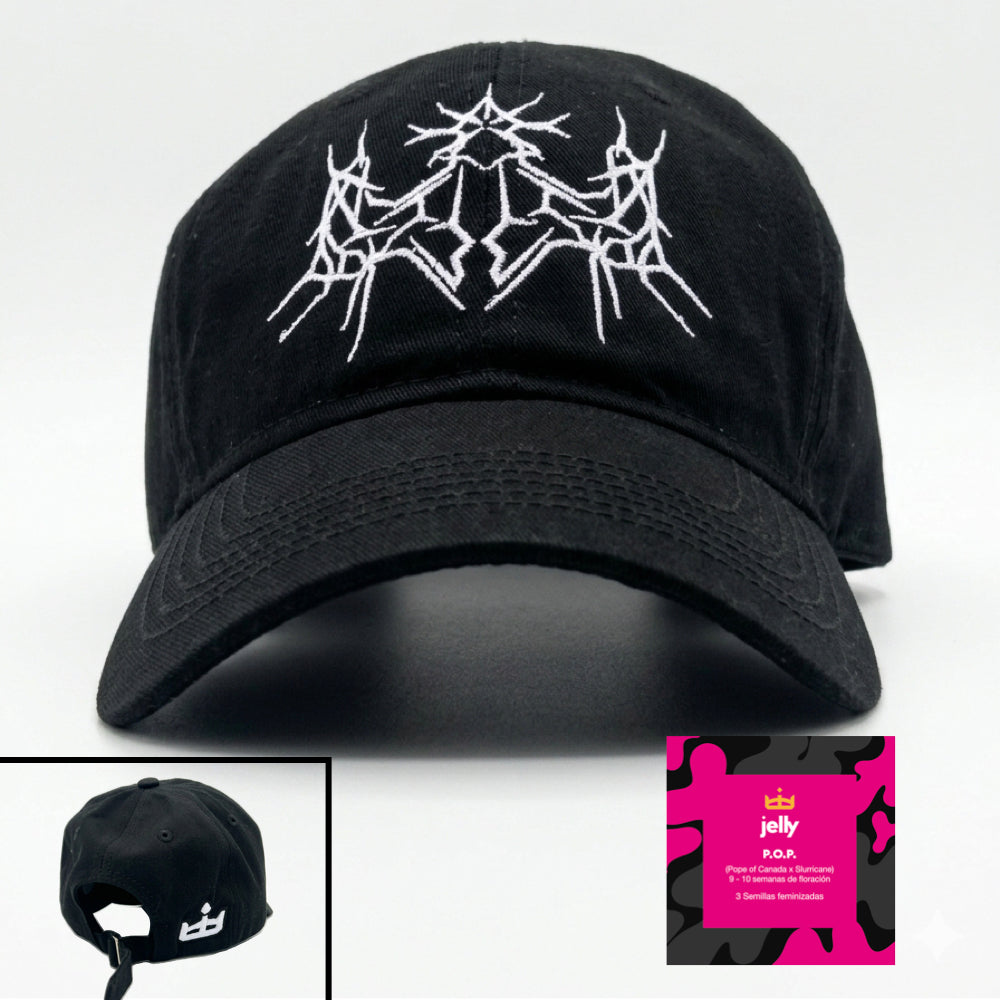Gorra Primavera 2026
