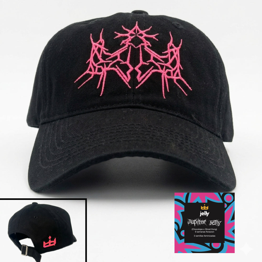Gorra Primavera 2026
