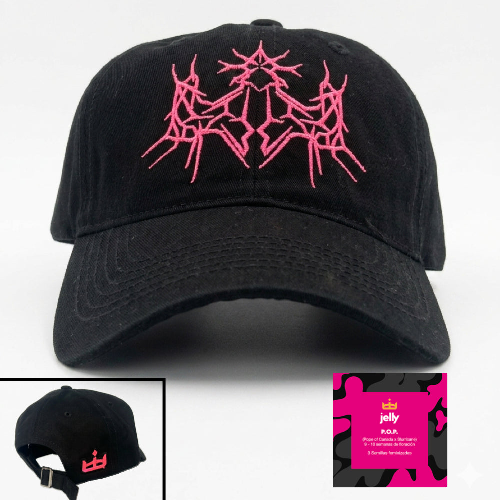 Gorra Primavera 2026